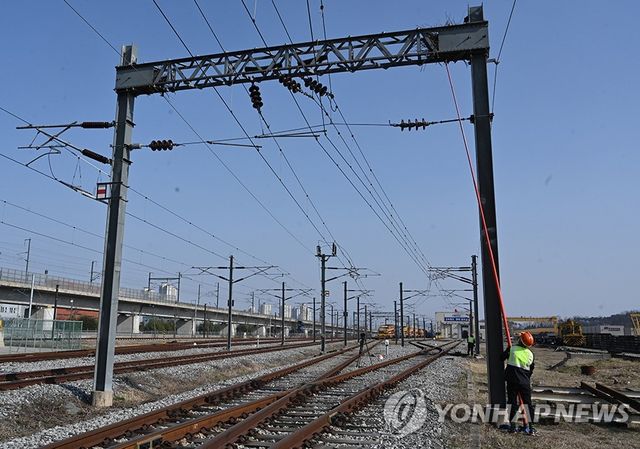 까치집 제거작업