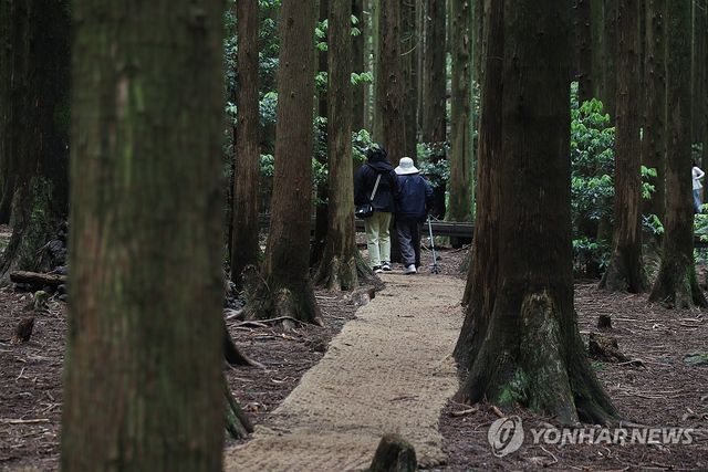 제주 사려니숲 동행길