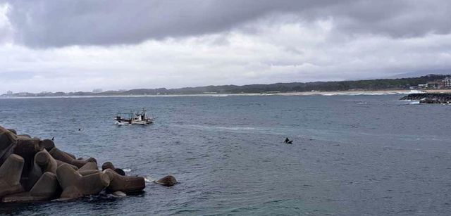 바다에 표류하던 서퍼 4명 구조