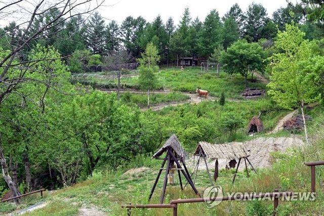 강원 태백시 '본적산 황부자 며느리 친정 가는 둘레길'
