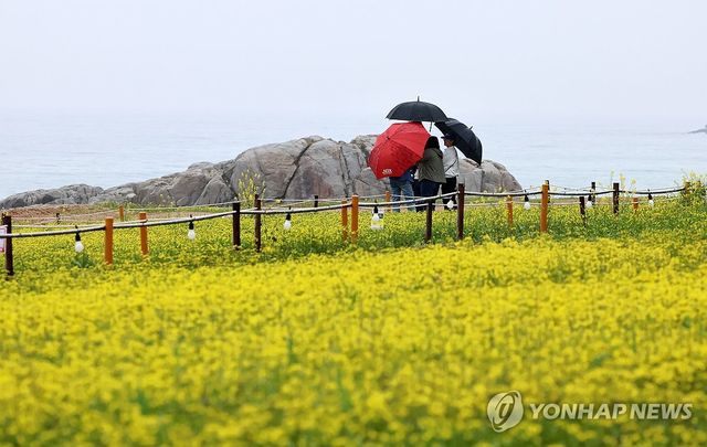 비 내리는 강릉 바닷가