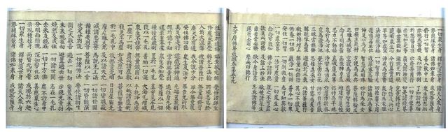 초조본 대방광불화엄경 주본 권59