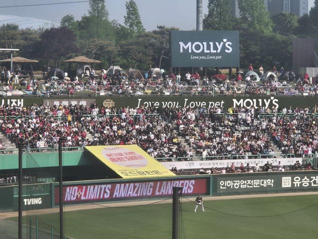 '최정 홈런공 잡자' 좌측 관중석에 몰린 구름 관중들
