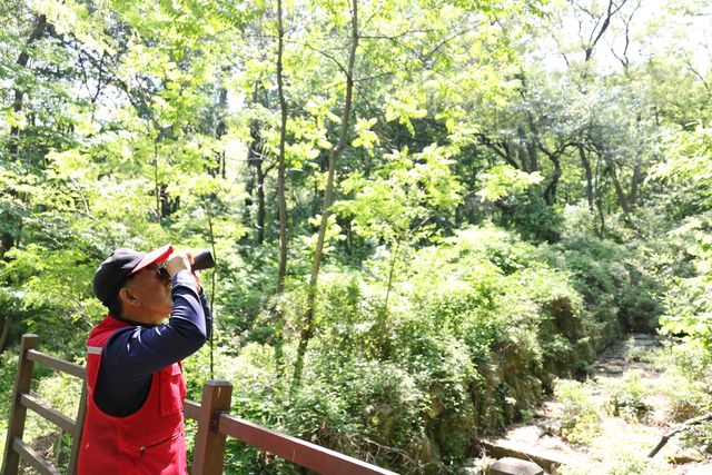 입산 통제구역 살피는 진화대원 