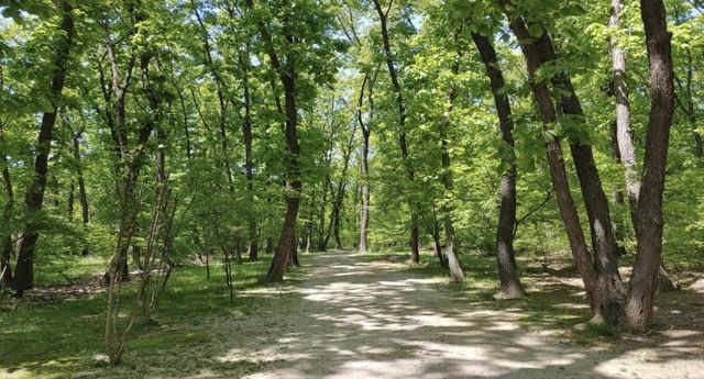 파주 장릉 숲길