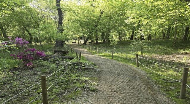 남양주 광릉 숲길