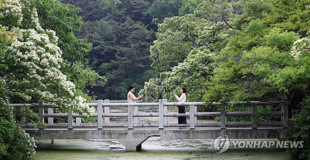 봄날 밀양 위양지에서