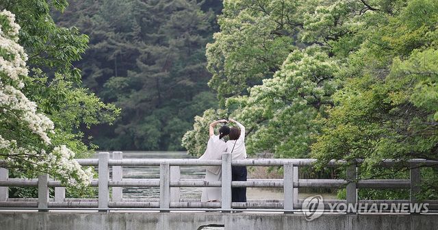 5월 신록의 계절