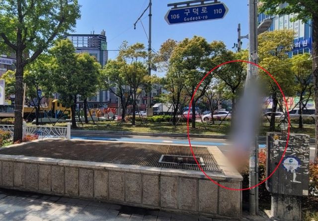 훼손된 선거현수막