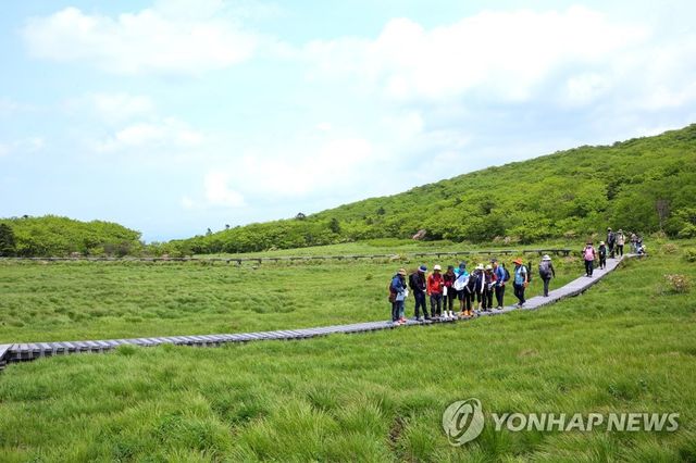 인제 대암산 용늪 생태탐방