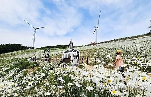 청옥산 육백마지기