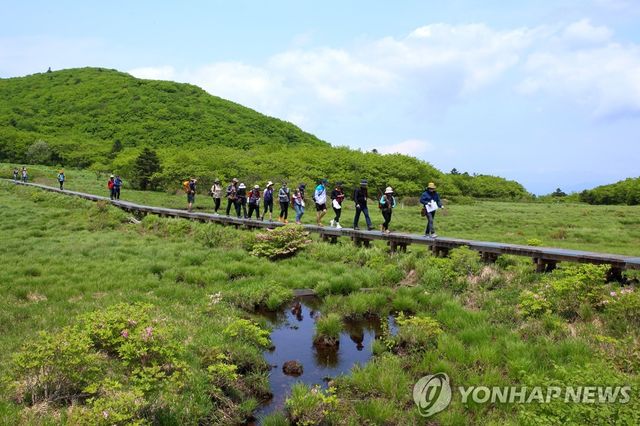 인제 대암산 용늪 생태탐방