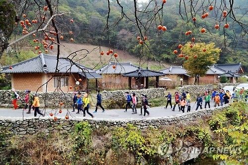 모악산 걷기(기사와 직접 관련이 없습니다)