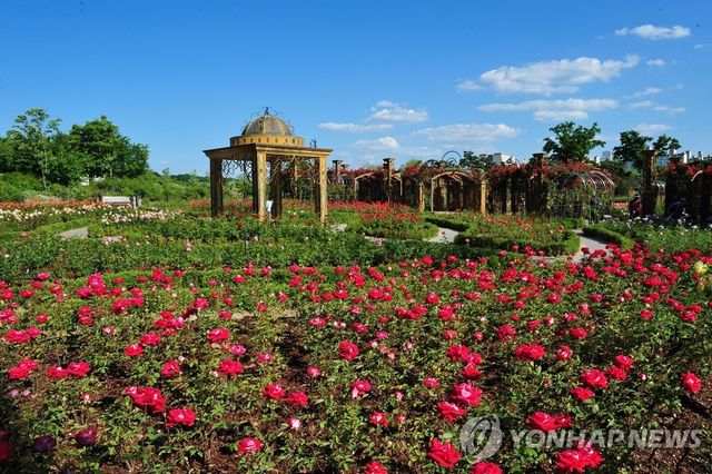 한밭수목원 장미원