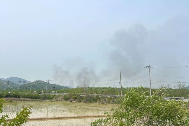 철원 비무장지대서 불