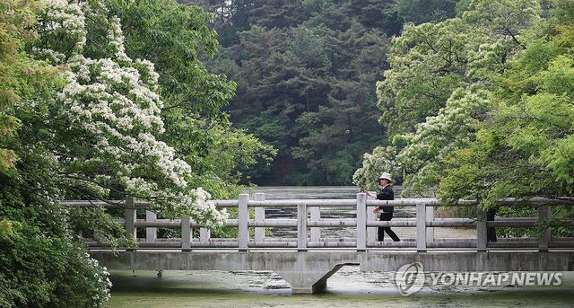 봄날 밀양 위양지