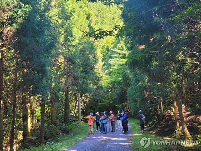 한남사려니오름숲