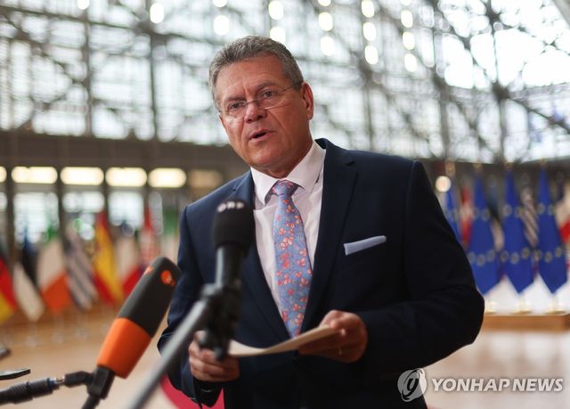 취재진 질문에 답변하는 EU 무역수장