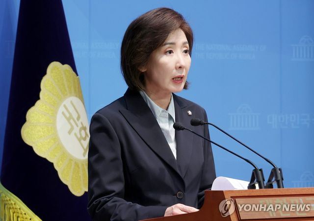 국민의힘 나경원 의원