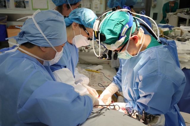 서울아산병원 9천번째 간이식 수술