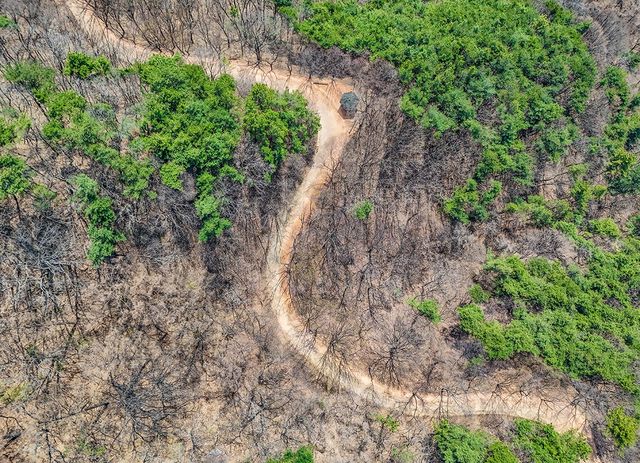 하늘에서 내려다본 계족산 황톳길 [사진/임헌정 기자]