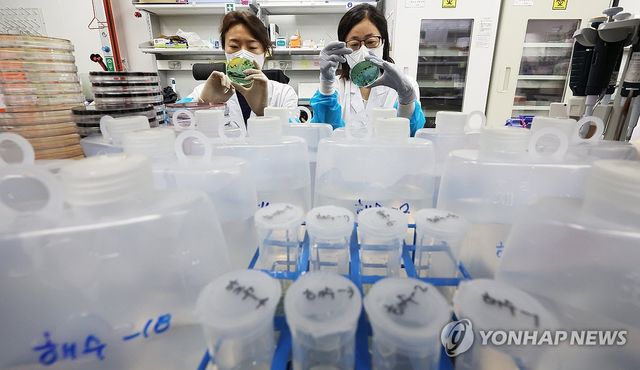 비브리오패혈증 감염 주의