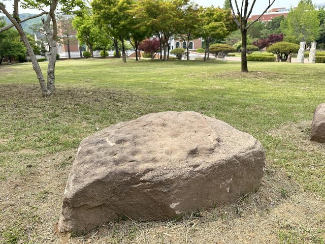 계명대 행소박물관으로 옮겨진 암각석