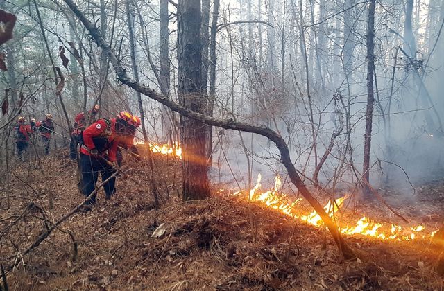 지난 3월 말 경북 의성산불 진화작업 장면