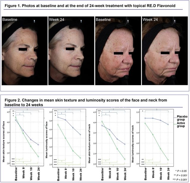 레드플라보노이드 24주 인체적용시험결과