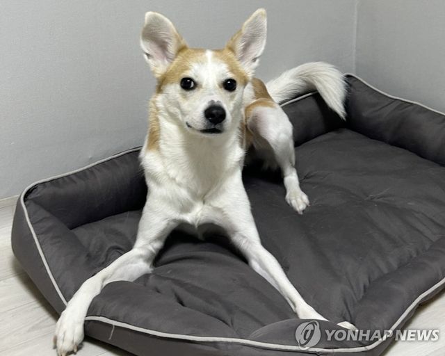 '우주를 소개합니다'