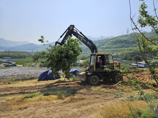 과수화상병으로 인한 매몰작업