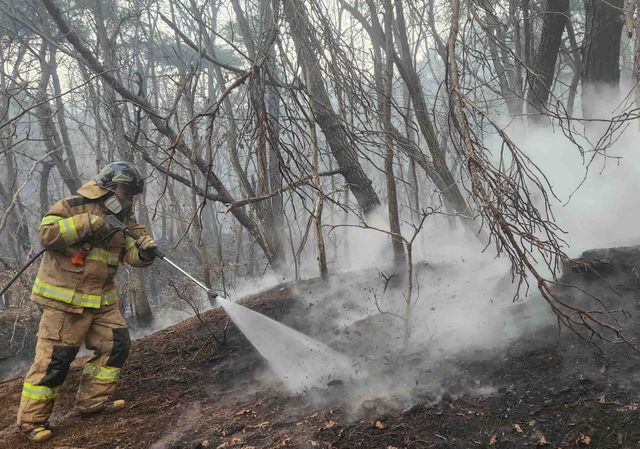 산불 대응하는 강원소방