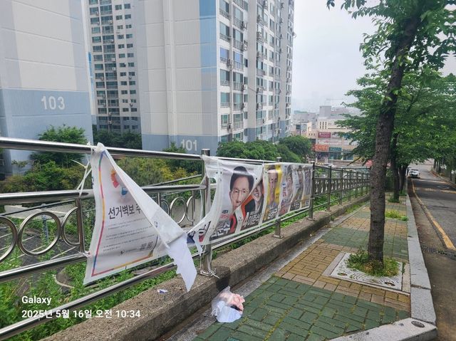 훼손된 선거 벽보