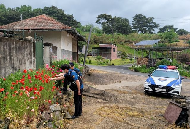 마약류 양귀비 단속하는 경찰