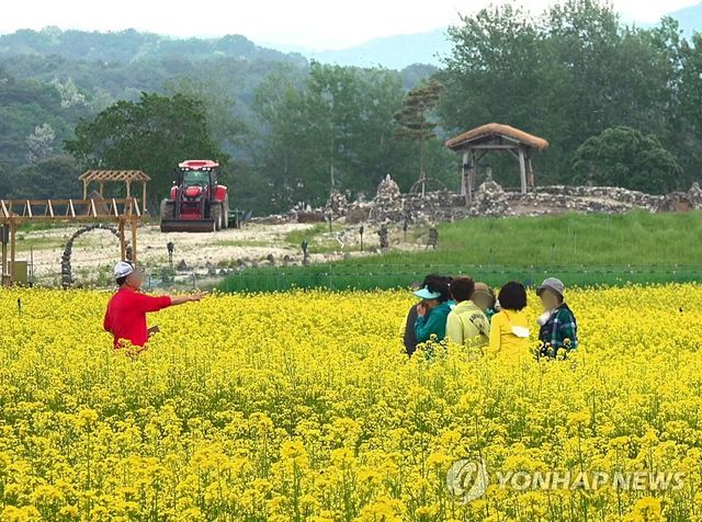 철원 고석정 꽃밭