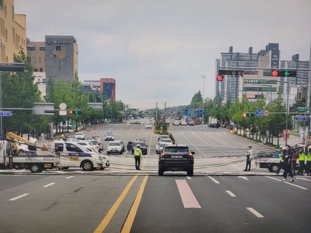 도로 위로 내려앉은 통신선