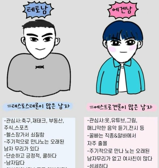 이른바 '테토남'(왼쪽)과 '에겐남'(오른쪽)을 설명하는 일러스트