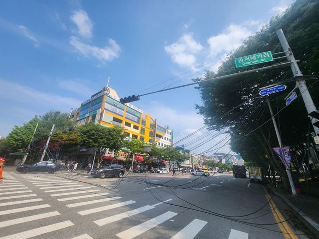 도로 위에 내려앉은 통신선