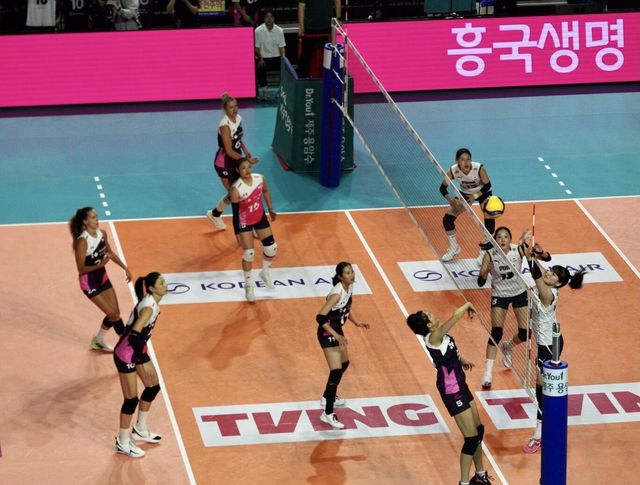 여자배구 세계올스타팀과 한국 여자대표팀간 경기