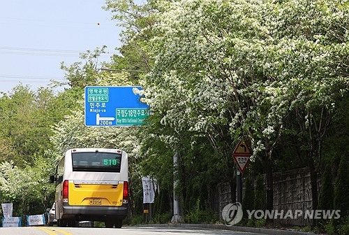 5·18 민주묘지 향하는 518번 버스