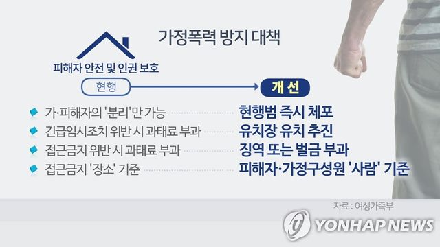 가정폭력 방지 대책 (CG)