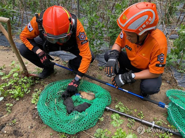 강아지 구조한 소방관들