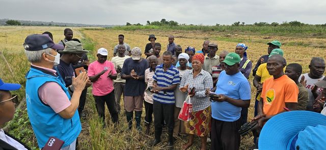 아프리카 가나에서 K-라이스벨트 사업으로 진행된 농민 교육