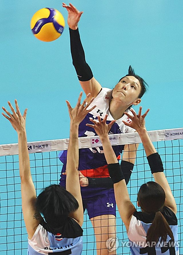 김연경 '이번엔 선수로'