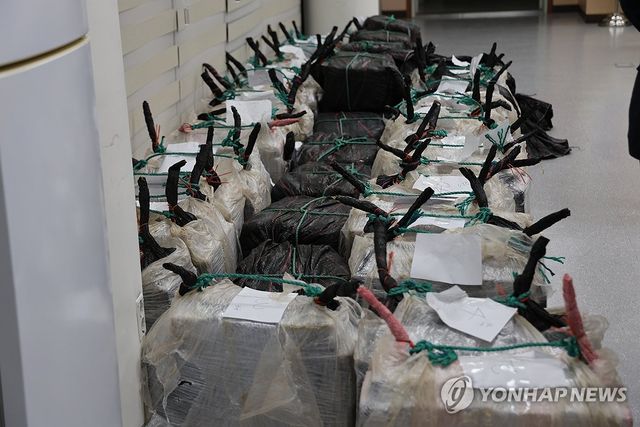 강릉 옥계항서 압수한 코카인 의심 물질