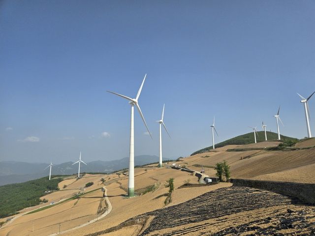 매봉산 바람의 언덕에 있는 풍력시설