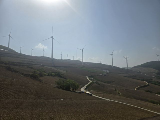 매봉산 '바람의 언덕' 전경