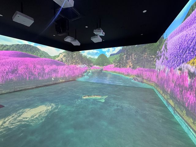 꿈빛마루도서관의 실감형 콘텐츠