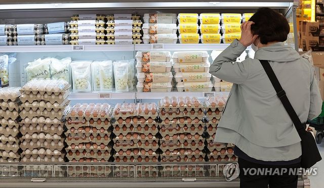계란 가격 1년 전보다 10.5% 상승