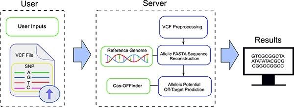 유전자 가위 부작용 예측하는 맞춤형 도구 알고리즘 개요도
